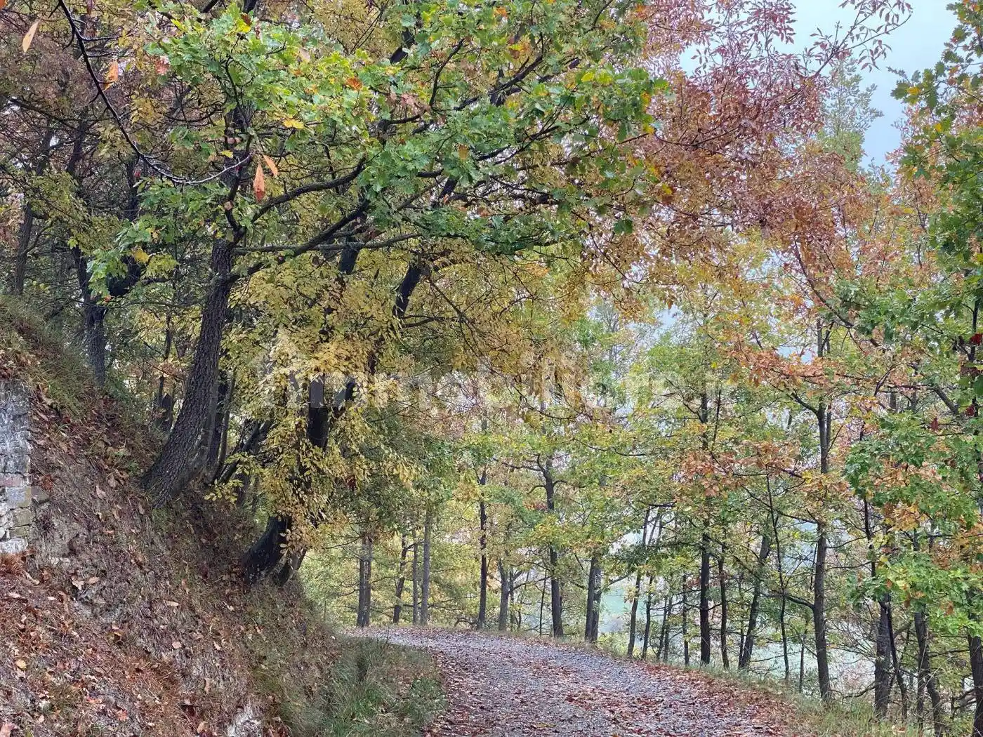 Rustico - Casale in vendita a Mombaldone
