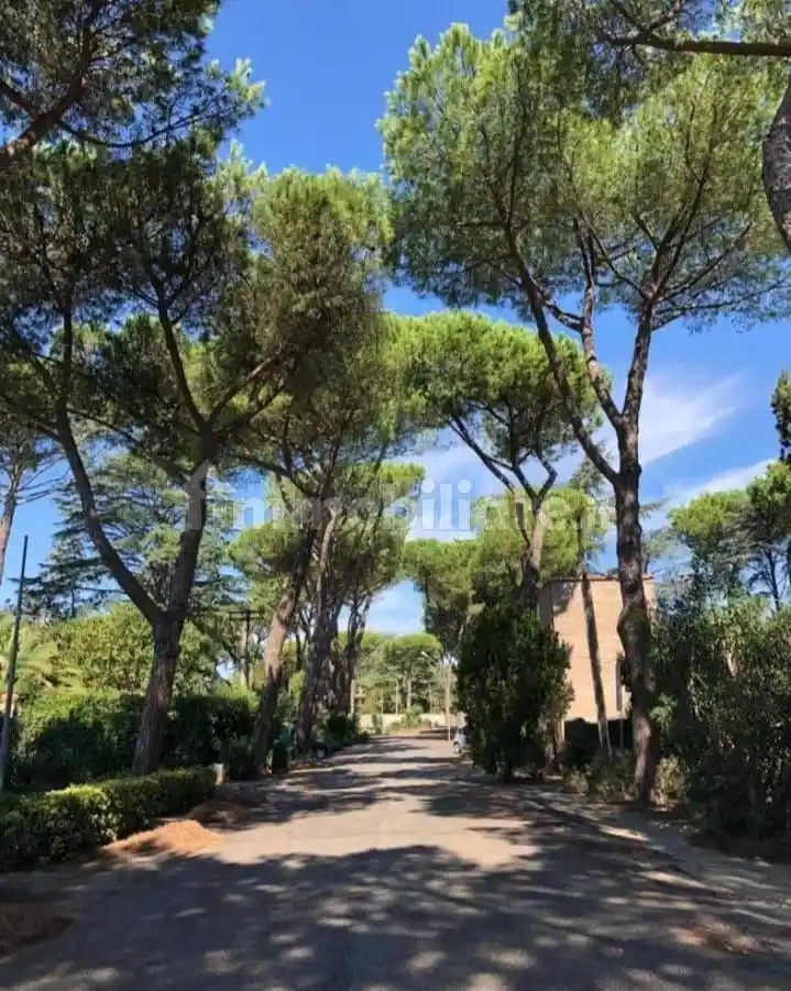 Villa bifamiliare via Raffaello Franchi 16, Castel di Guido, Roma - foto 2