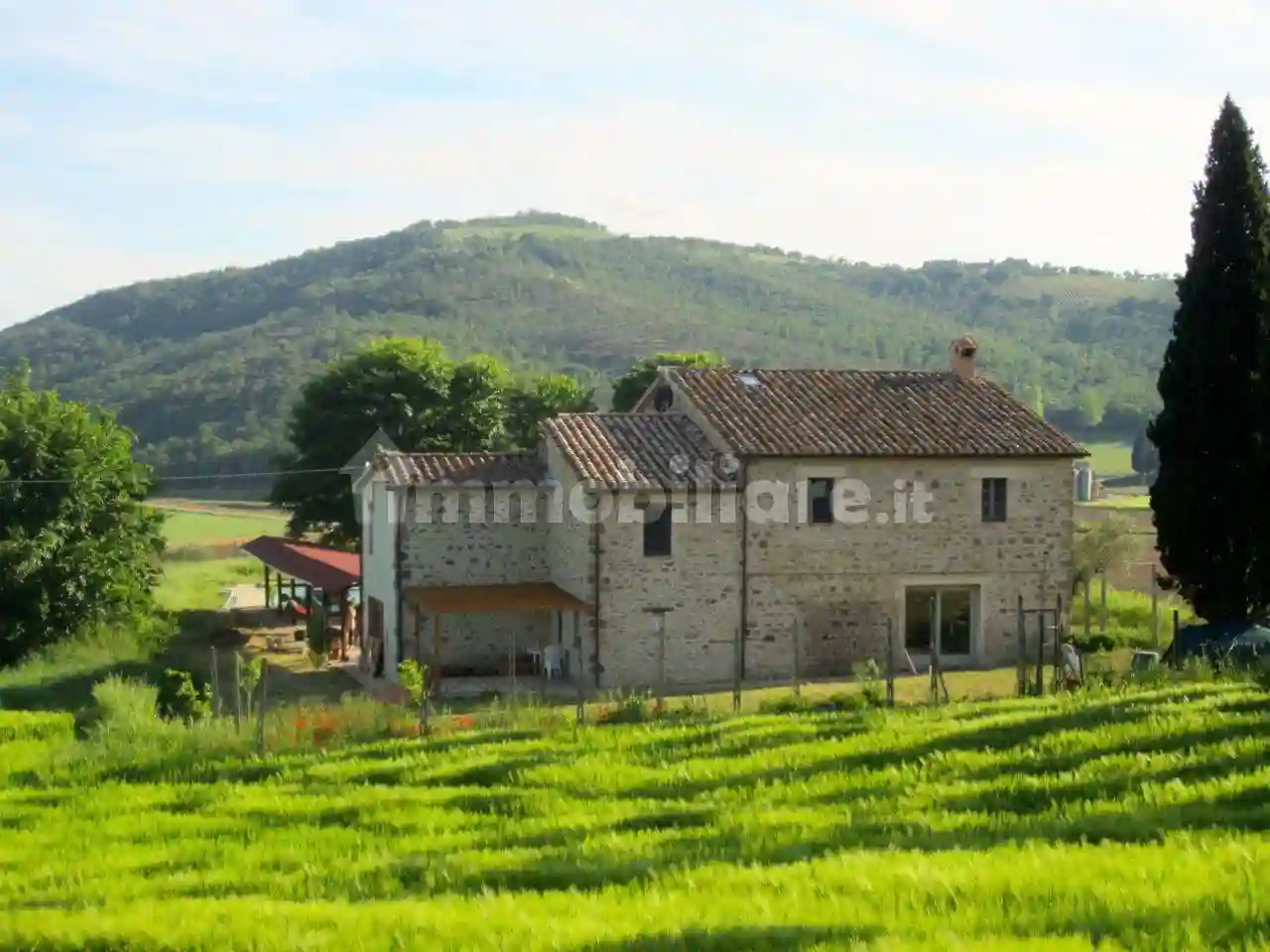 Rustico - Casale - foto 5