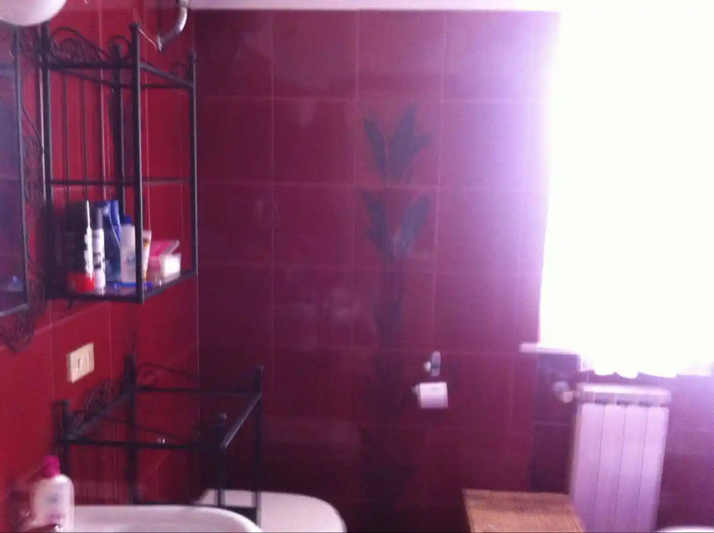 Bilocale via Bibi Ciarmatori, Barbara - foto 5