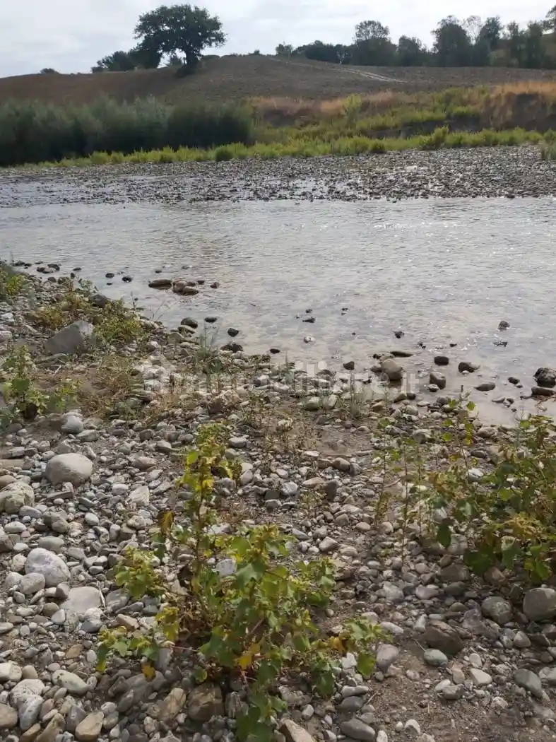 Rustico - Casale in vendita a Scansano