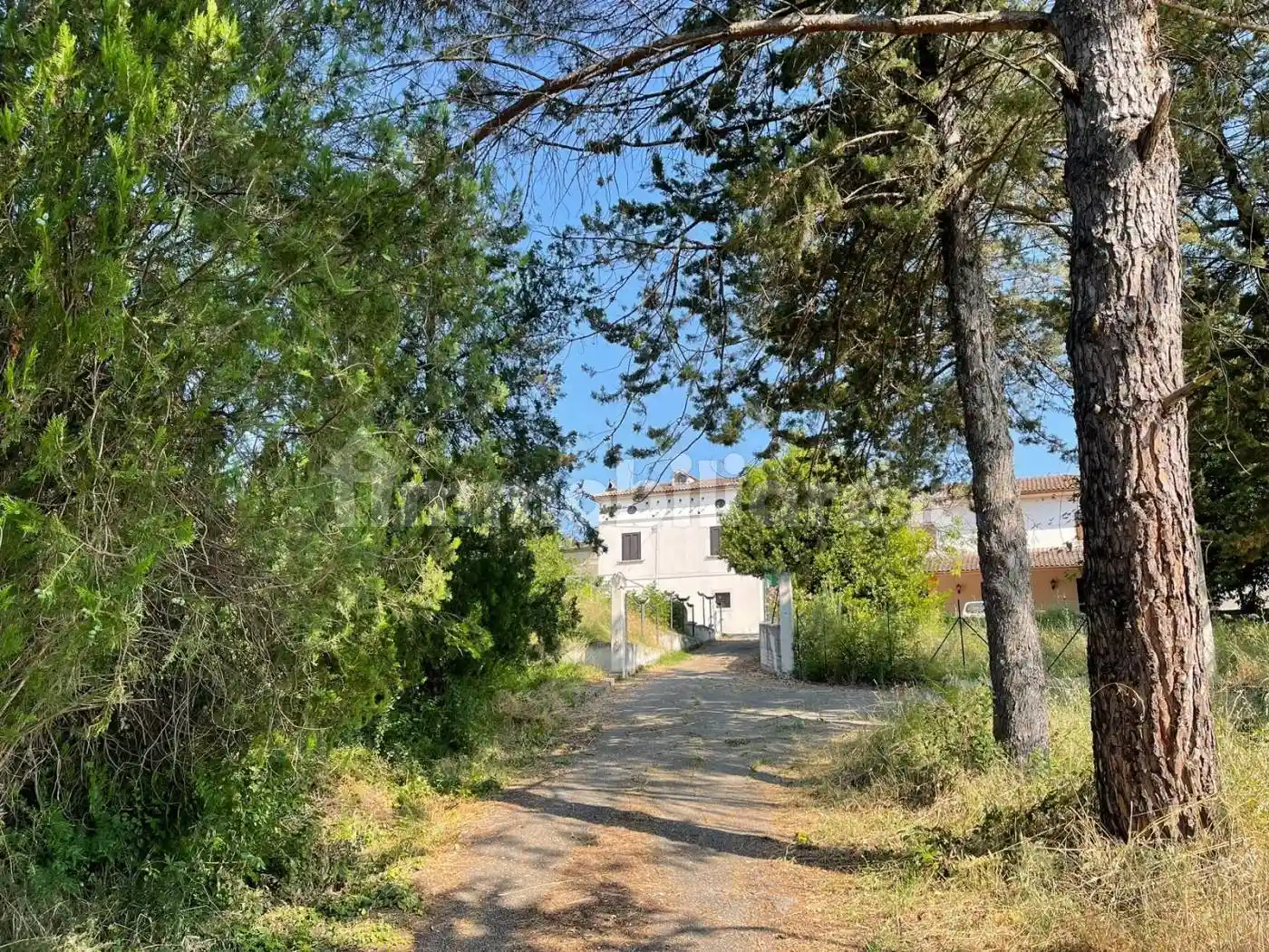 Villa unifamiliare Contrada Malecagna, San Vitale, Benevento - foto 2