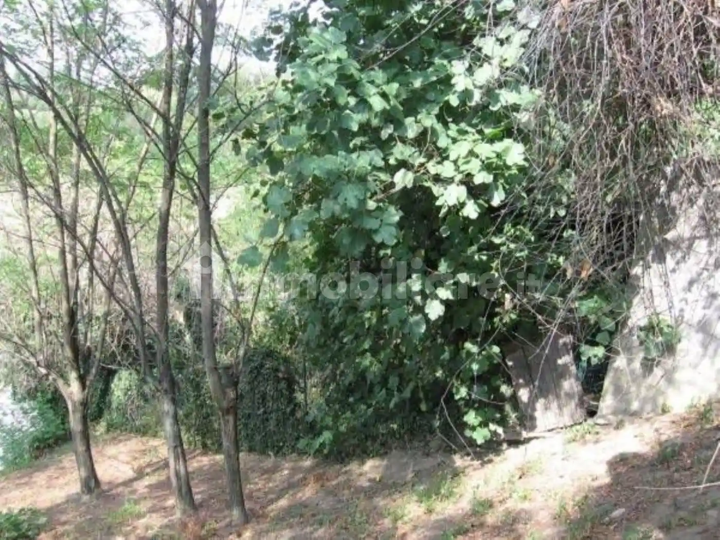 Villa unifamiliare via castello oliveto, Stiore, Valsamoggia - foto 4