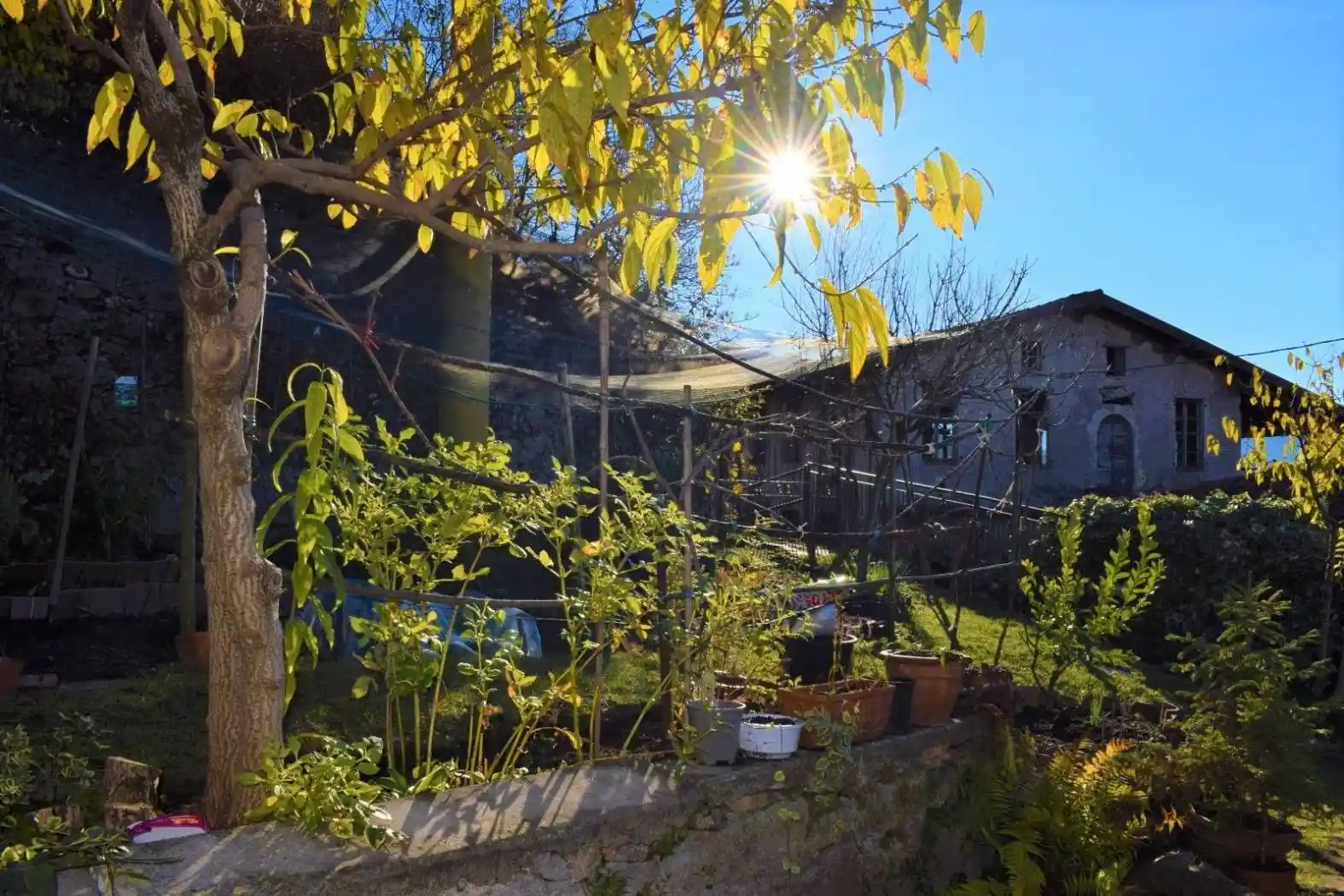 Casa indipendente in vendita a Marone