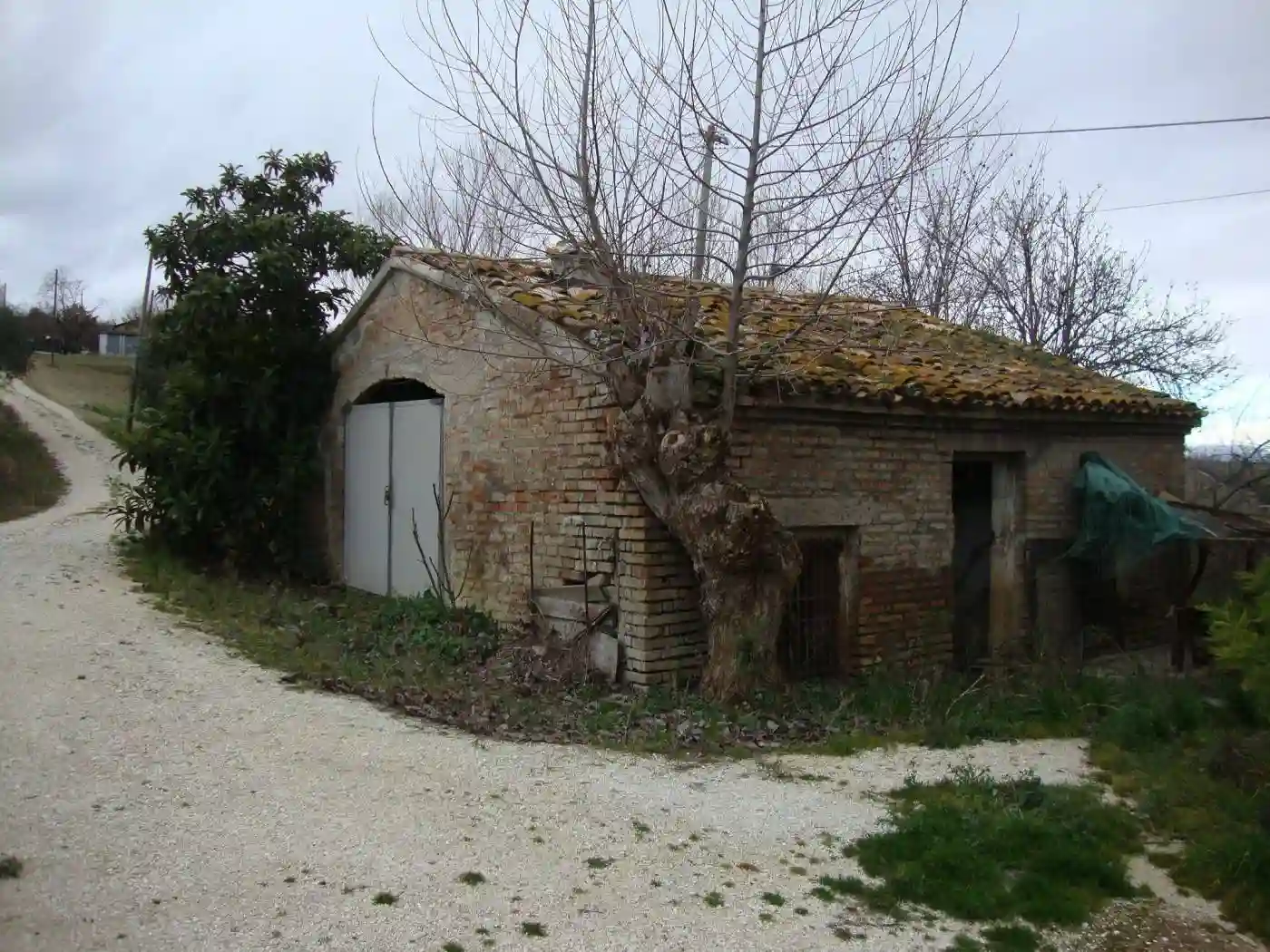 Palazzo - Edificio - foto 4