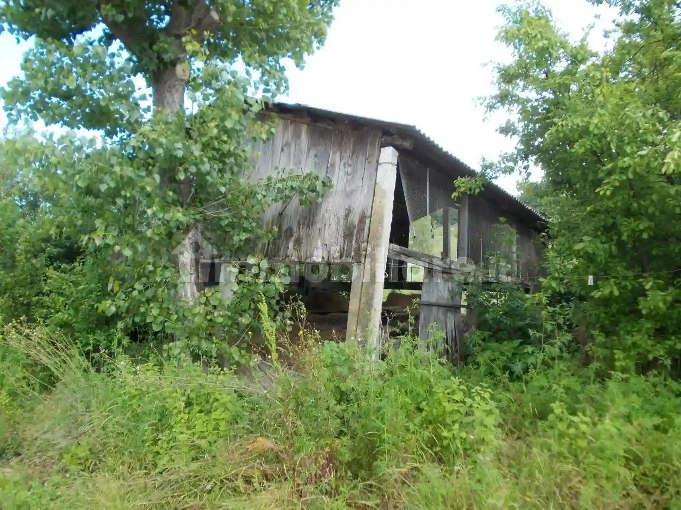 Palazzo - Edificio - foto 5