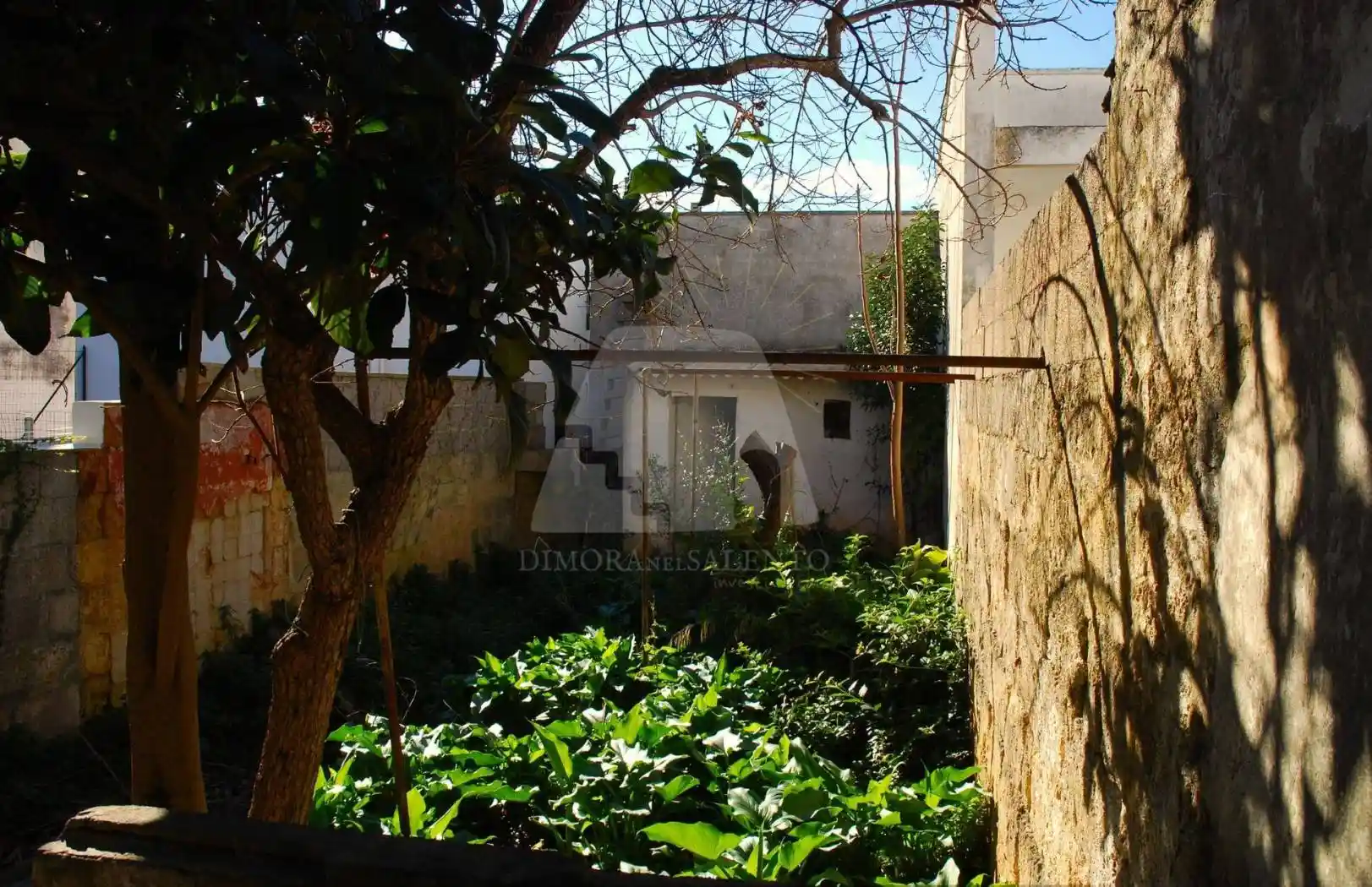 Casa indipendente in vendita a Salve