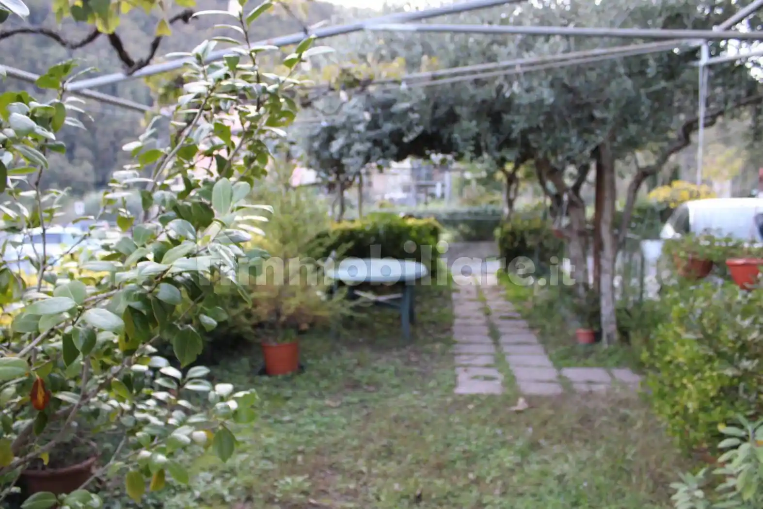 Rustico - Casale - foto 4