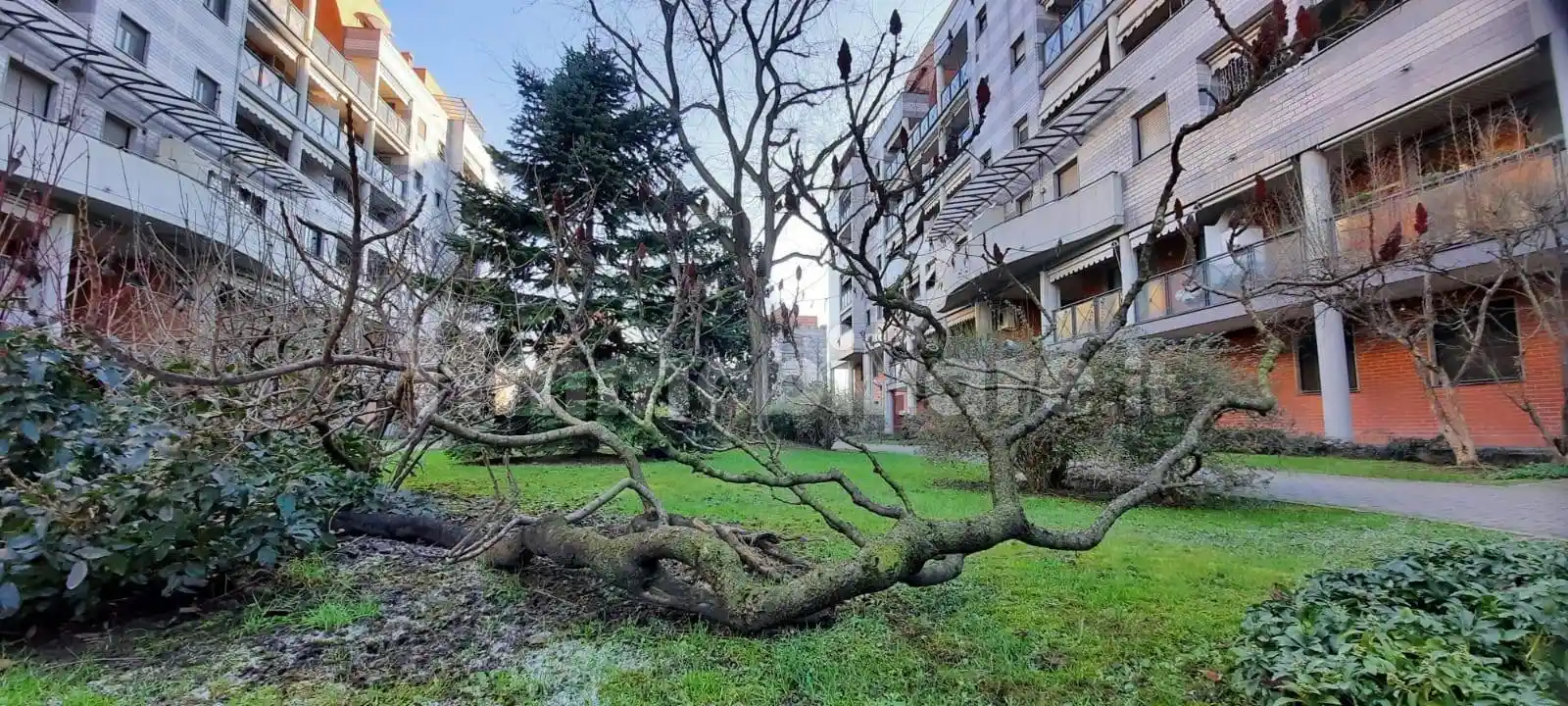 Appartamento in affitto a Milano