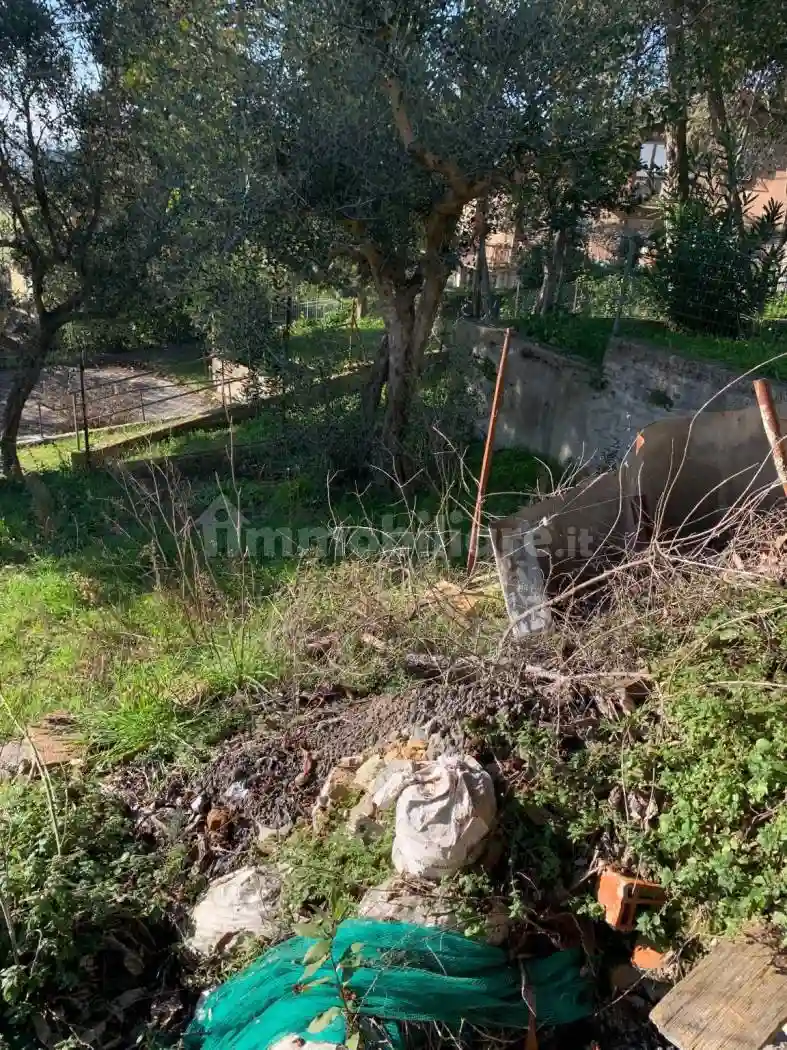 Palazzo - Edificio - foto 4