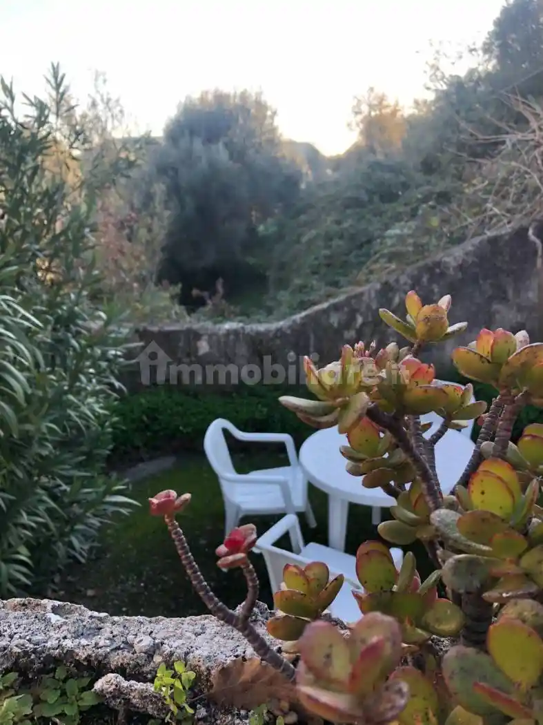 Appartamento in affitto a Centola