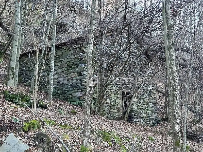 Rustico - Casale in vendita a Chiuro