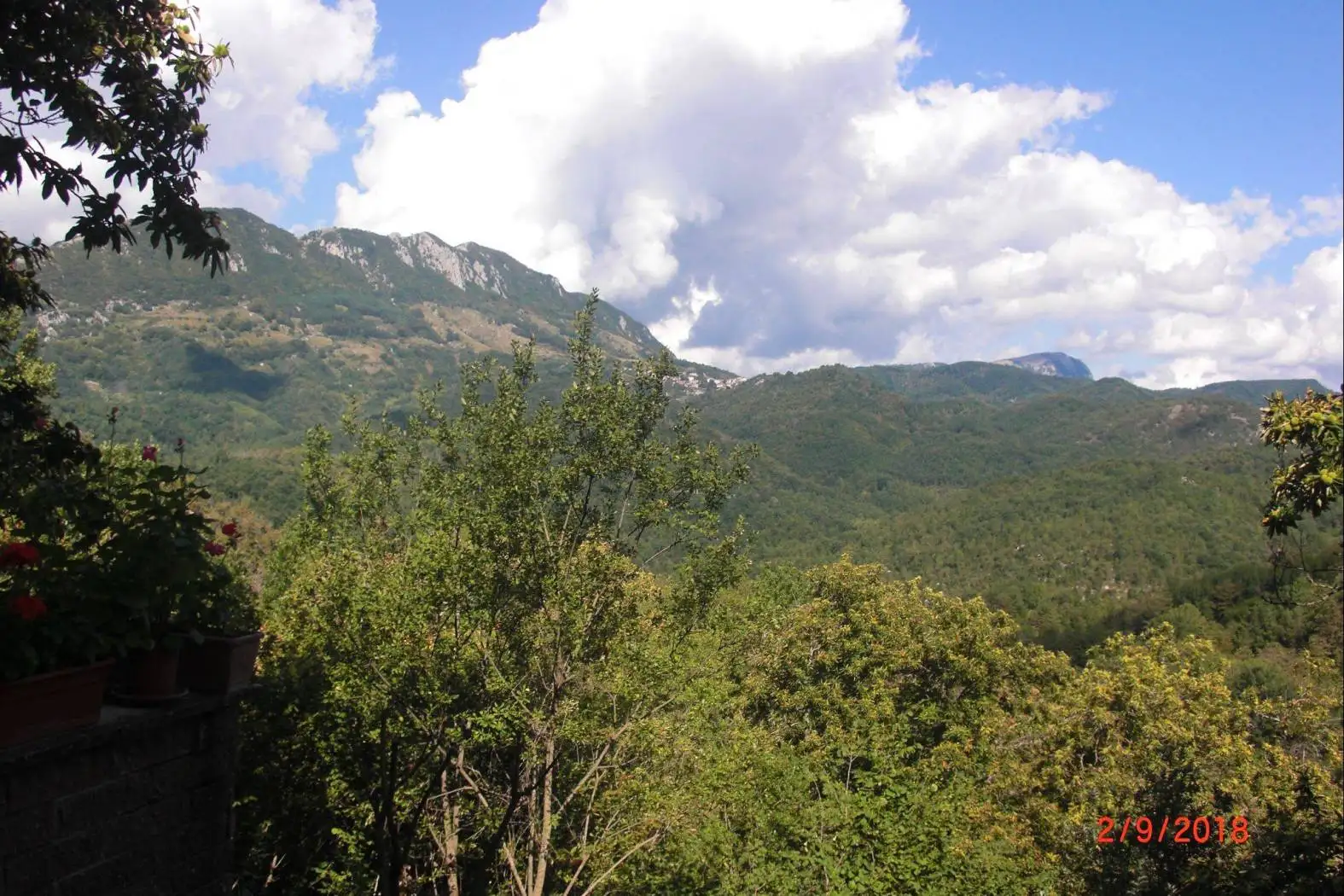 Appartamento in vendita a Nespolo