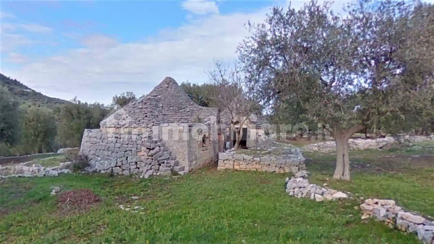 Appartamento in vendita a Fasano