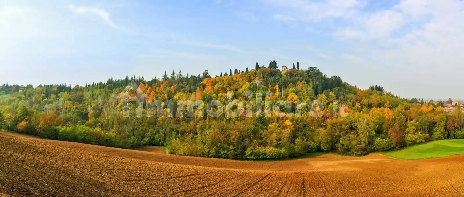 Villa in vendita a Albinea