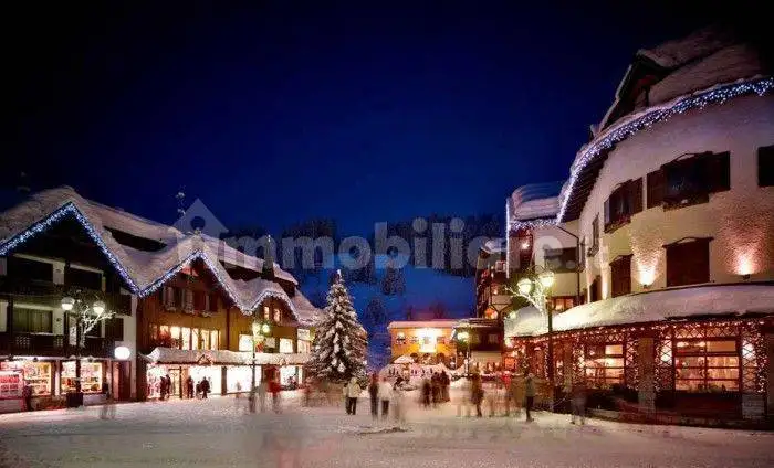 Appartamento in affitto a Trento