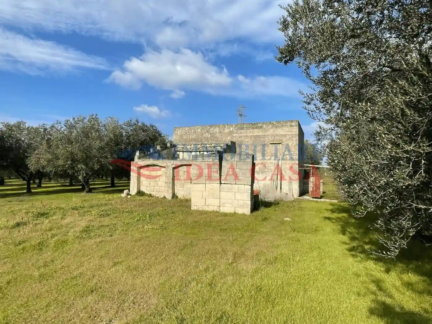 Rustico - Casale - foto 4