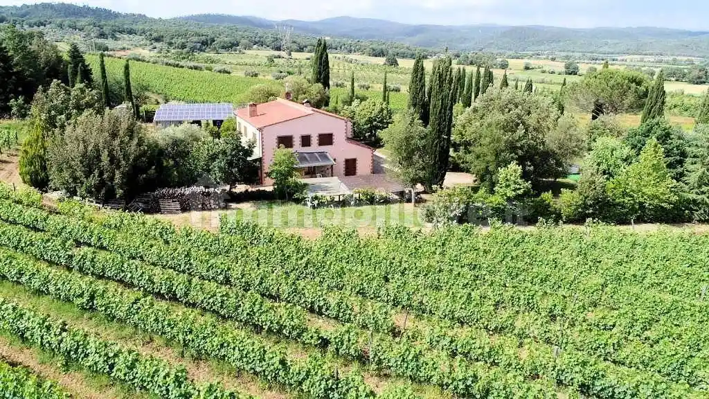 Rustico - Casale in vendita a Roccastrada