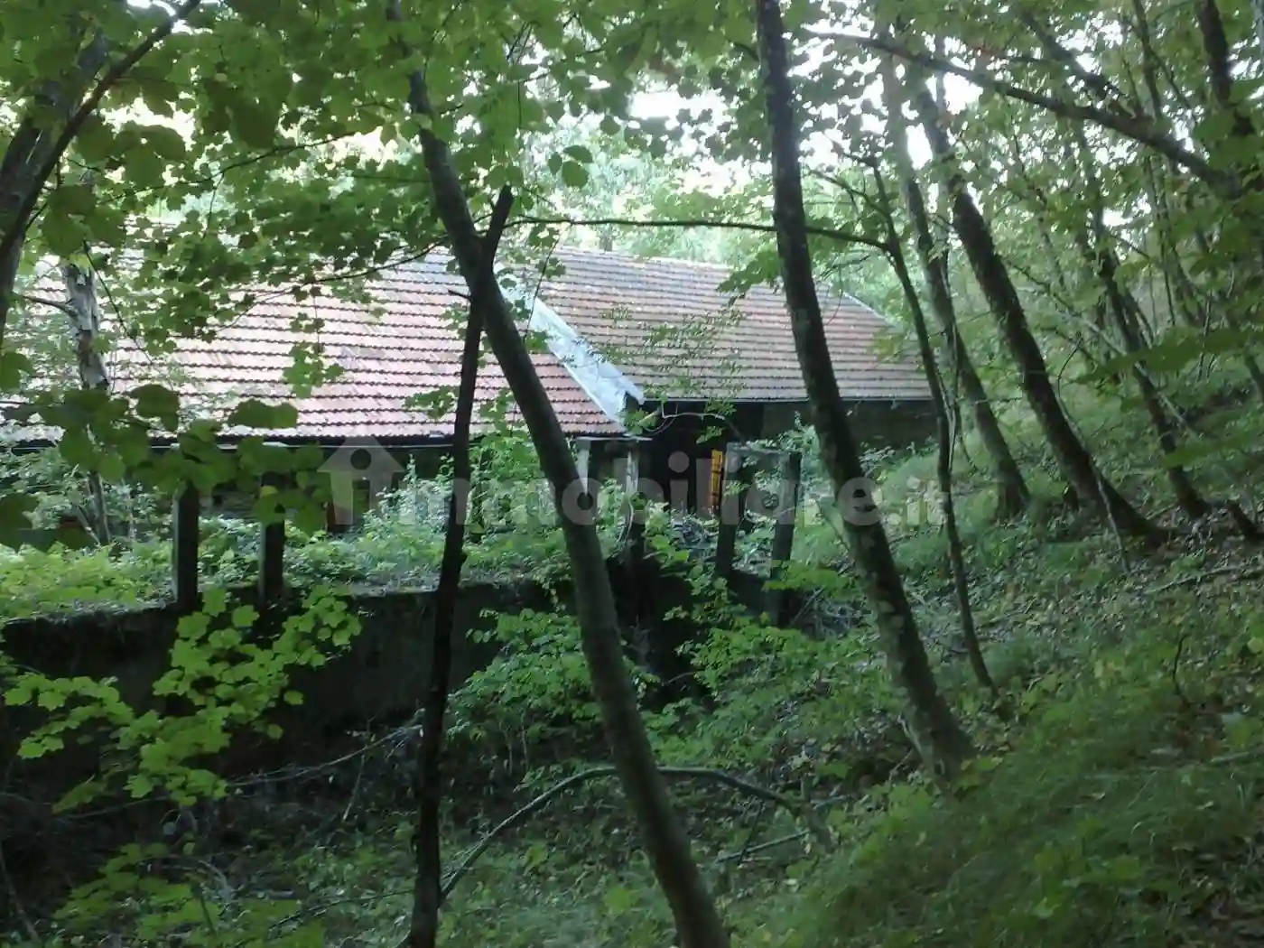 Palazzo - Edificio - foto 3