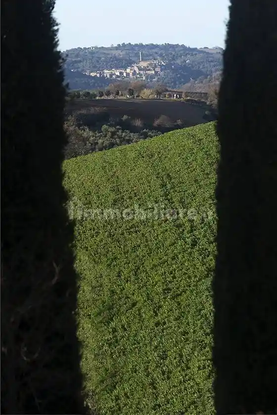 Rustico - Casale in vendita a Magliano in Toscana