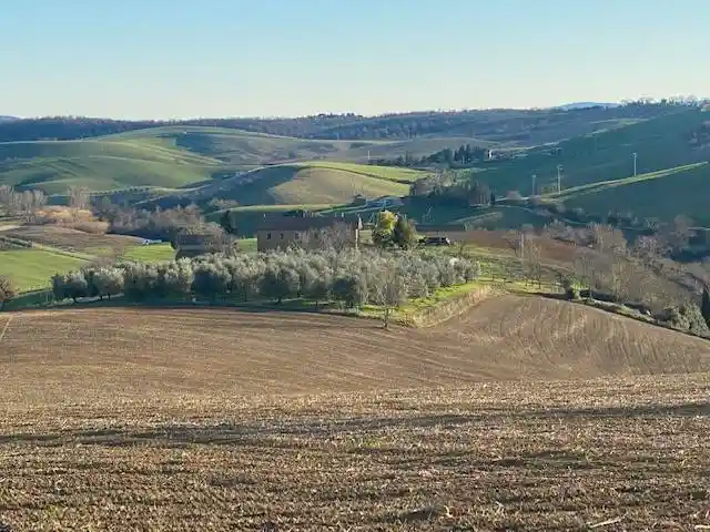 Appartamento in vendita a Magliano in Toscana