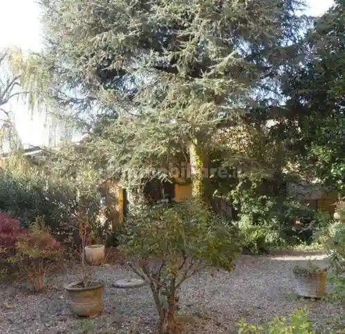 Palazzo - Edificio - foto 5