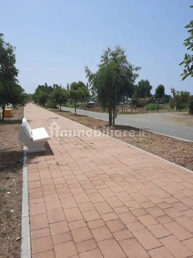 Bilocale corso Variante SS18 Snc, Grisolia - foto 5