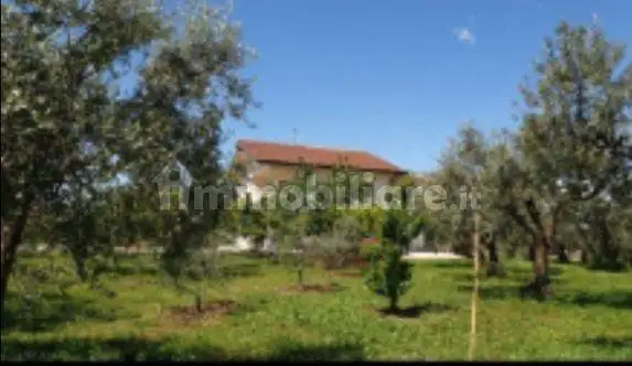 Villa unifamiliare Contrada Villa Consalvi 105, Crecchio - foto 5