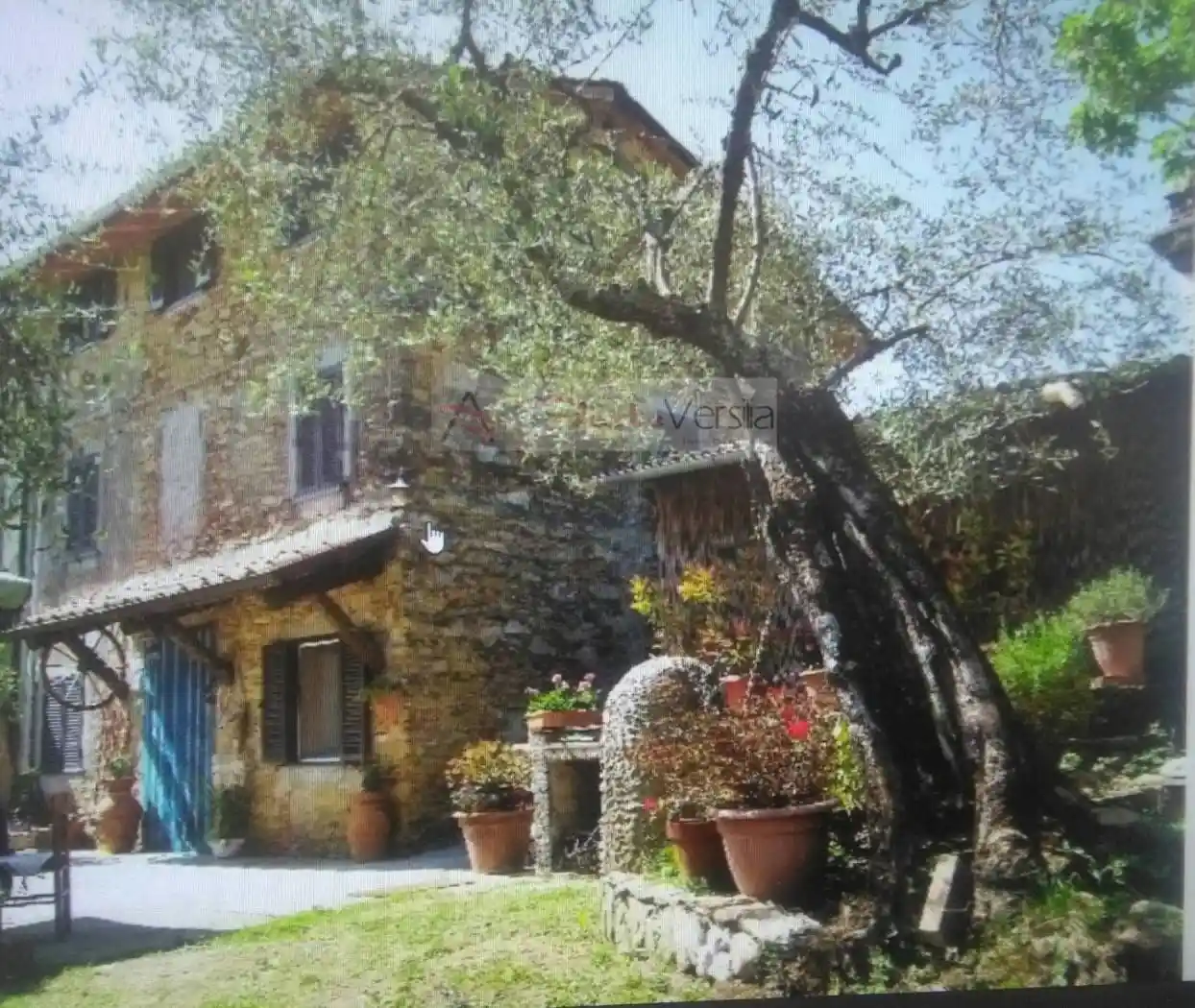 Rustico - Casale in vendita a Camaiore