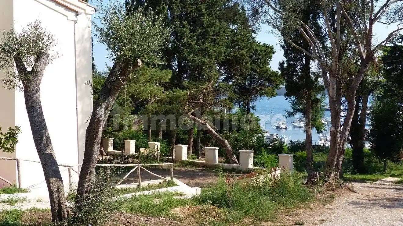 Appartamento in affitto a Piombino