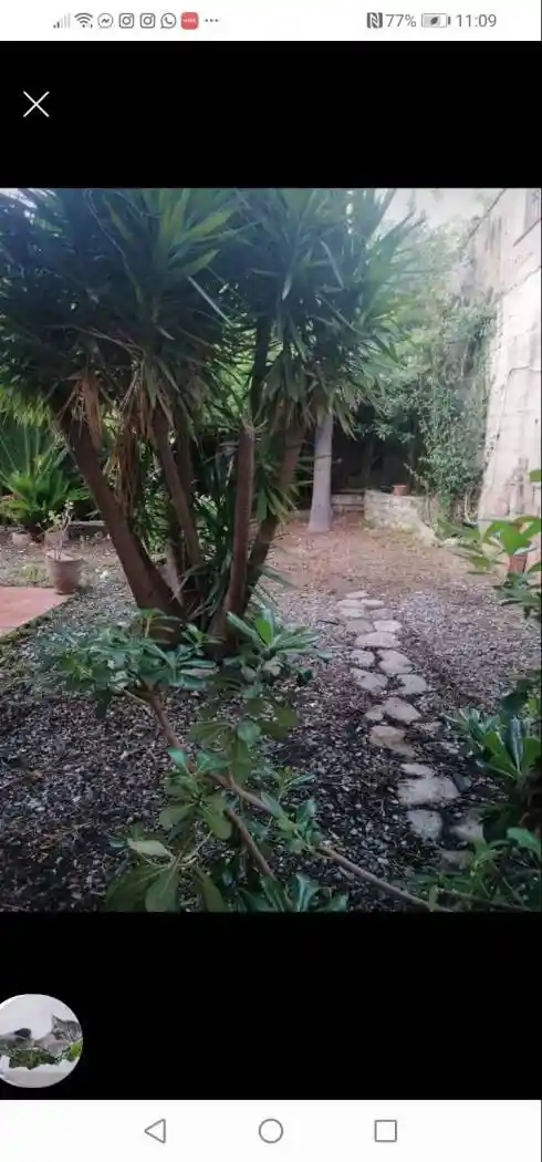 Villetta a schiera in vendita a Furnari