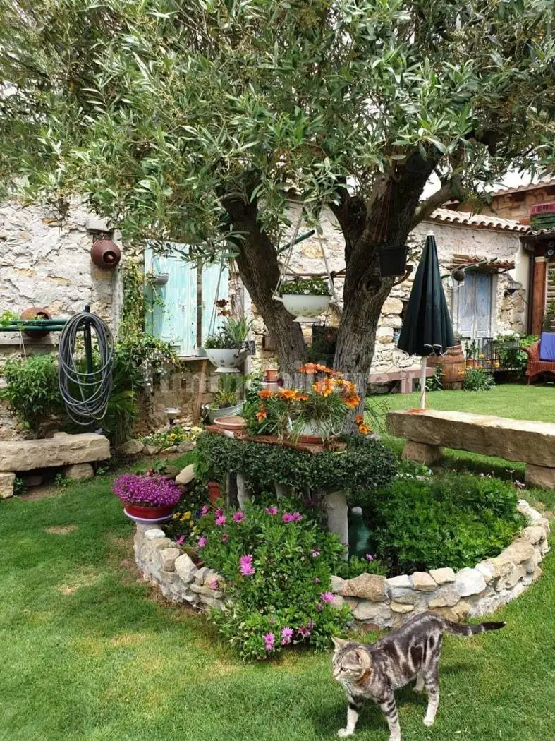 Casa indipendente in vendita a Selegas
