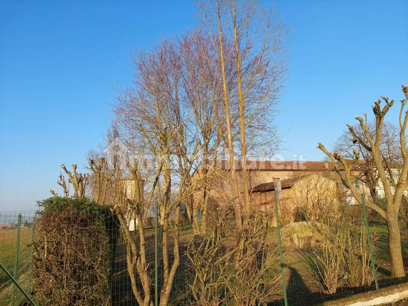 Rustico - Casale in vendita a Luzzara