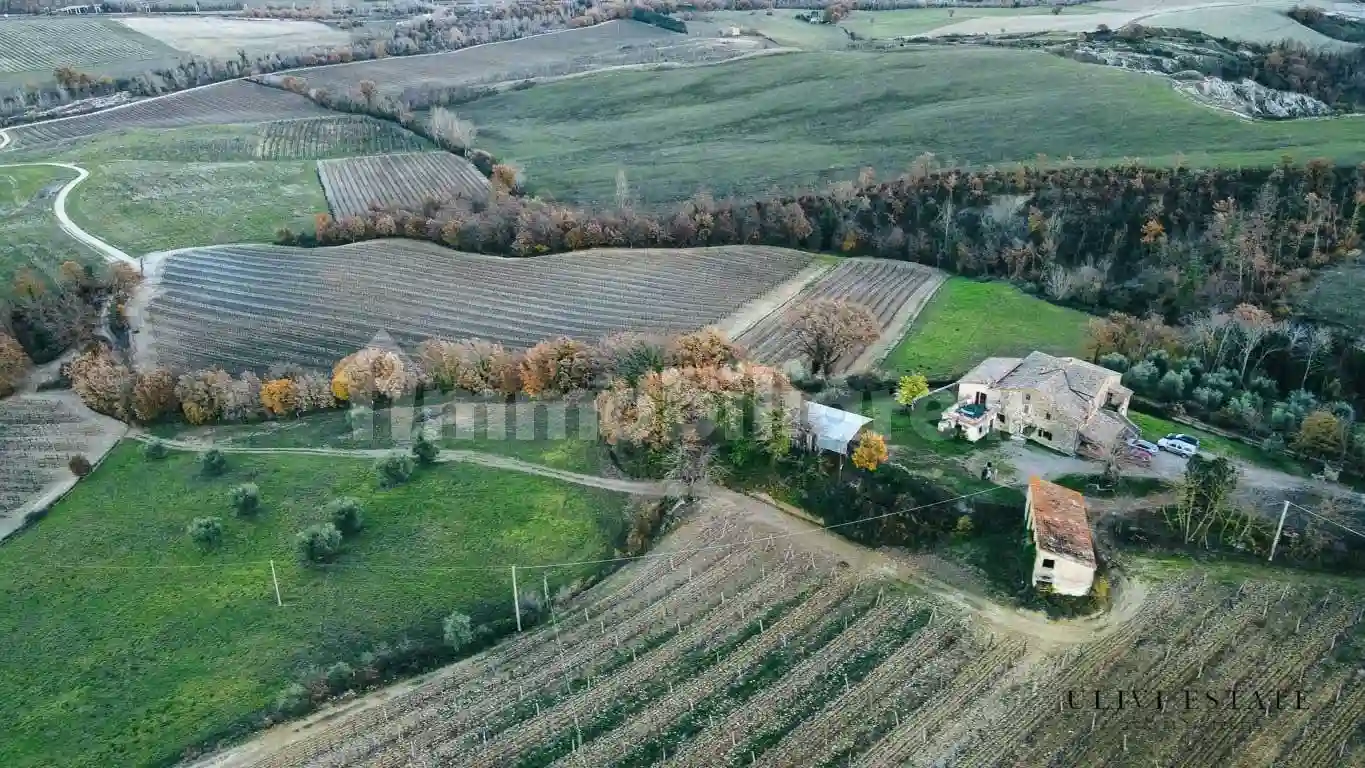 Rustico - Casale - foto 5