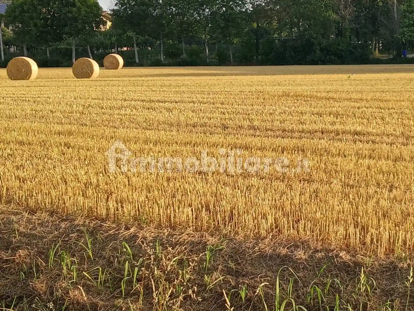 Villa unifamiliare Strada di Bertesina 319, Bertesina, Vicenza - foto 5