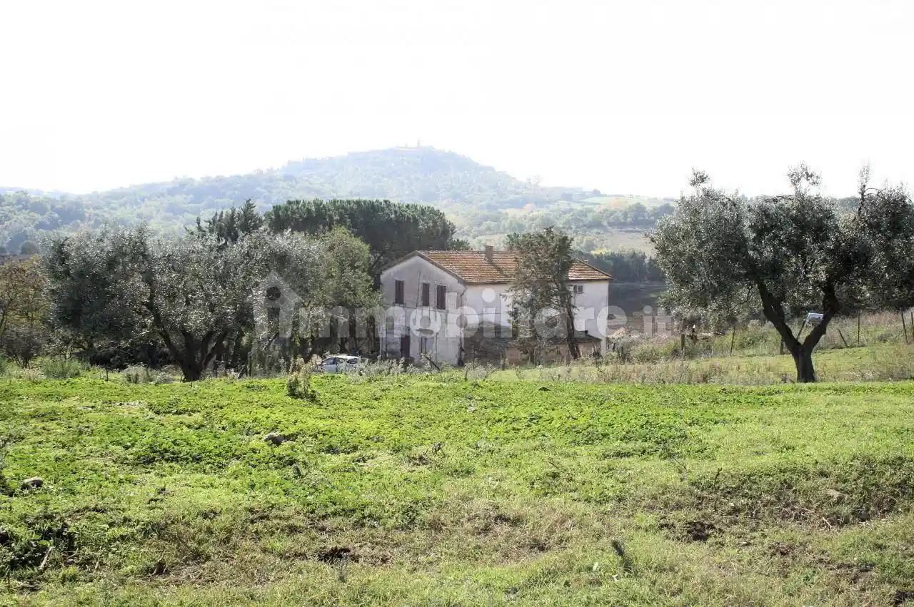 Rustico - Casale in vendita a Magliano in Toscana
