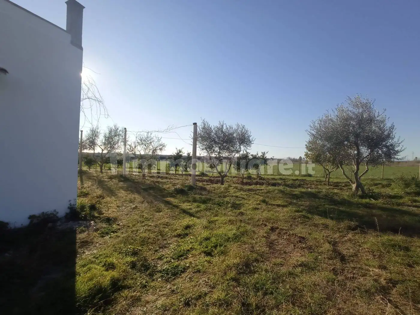 Rustico - Casale in vendita a Montescaglioso