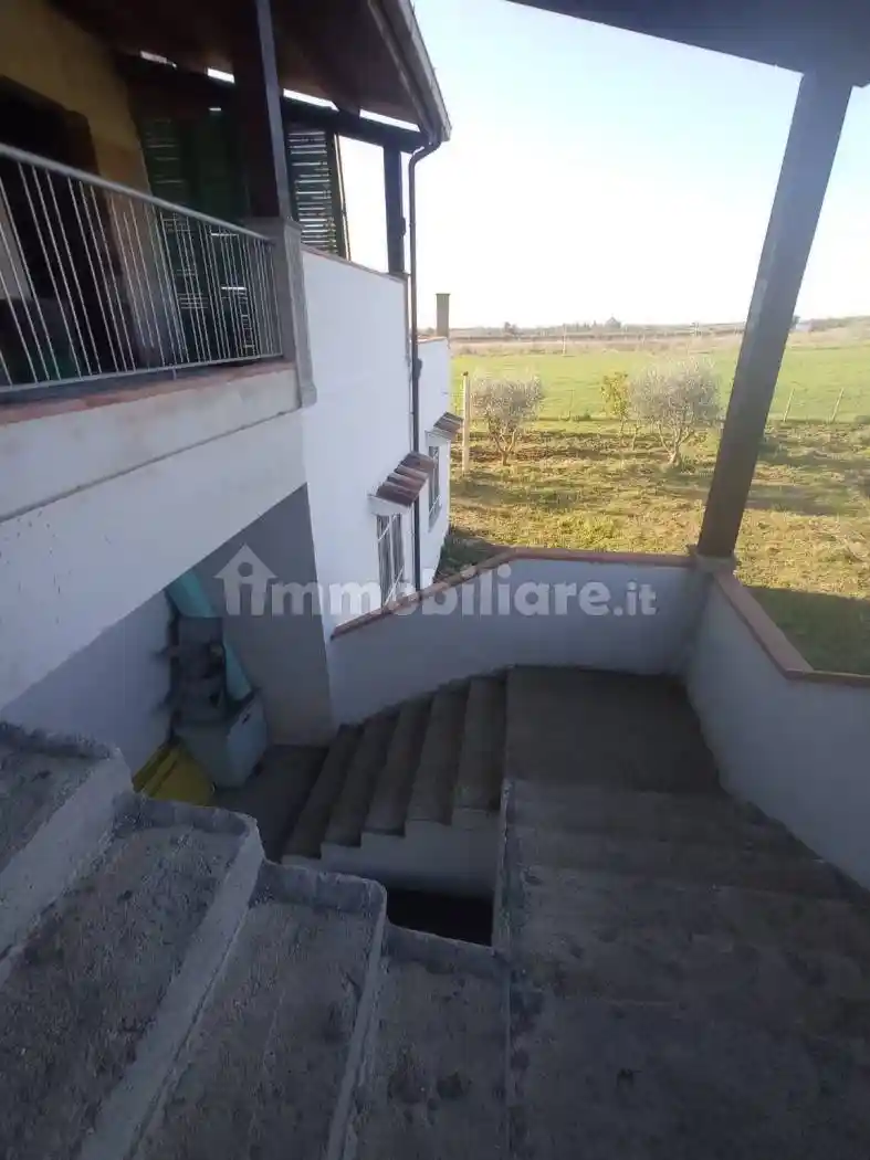 Rustico Sp154, Montescaglioso - foto 3