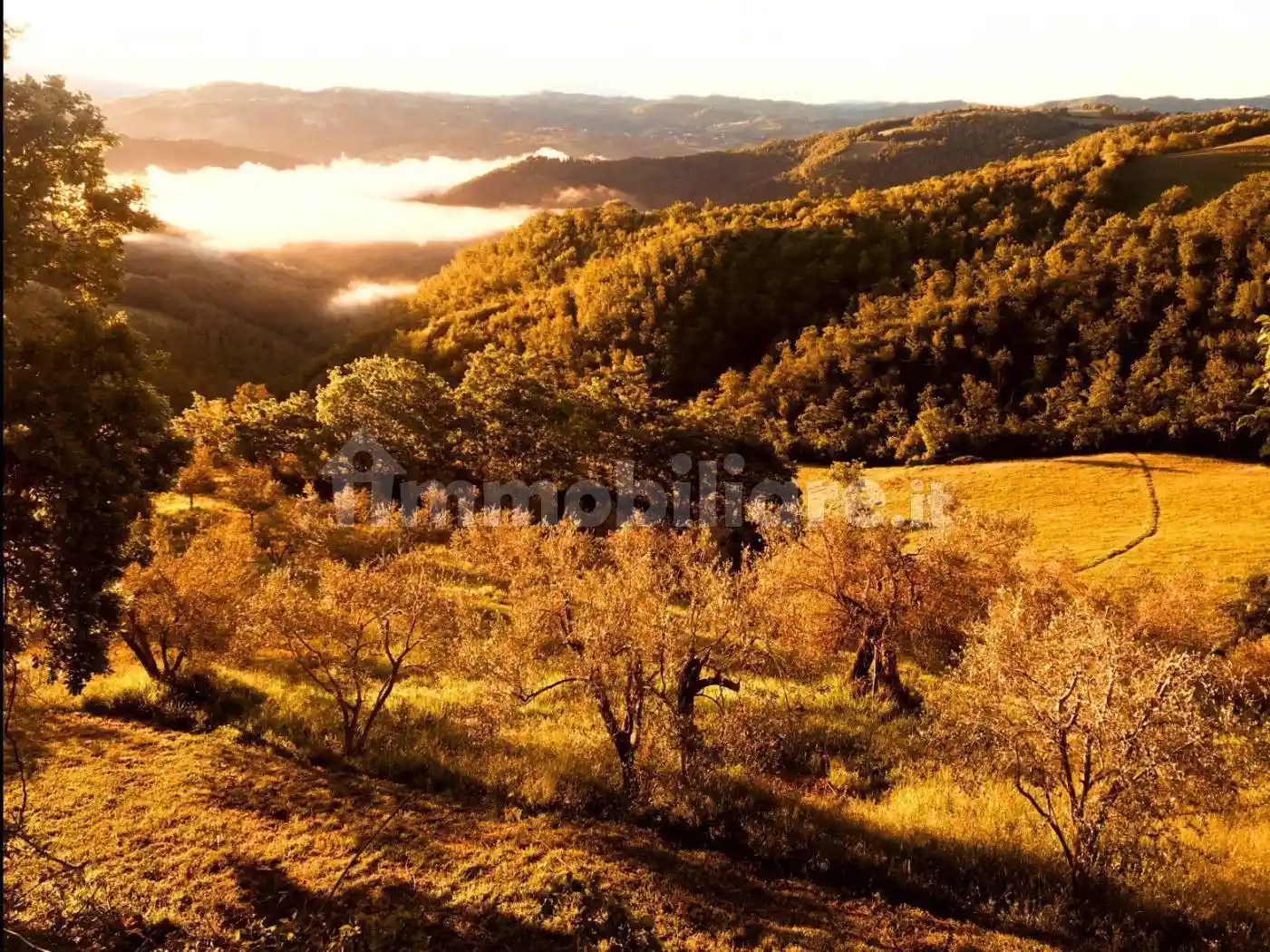 Casale Strada Fratticciola Selvatica-Gubbio, Piccione, Perugia - foto 4