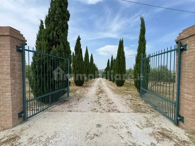 Rustico - Casale in vendita a Bellante