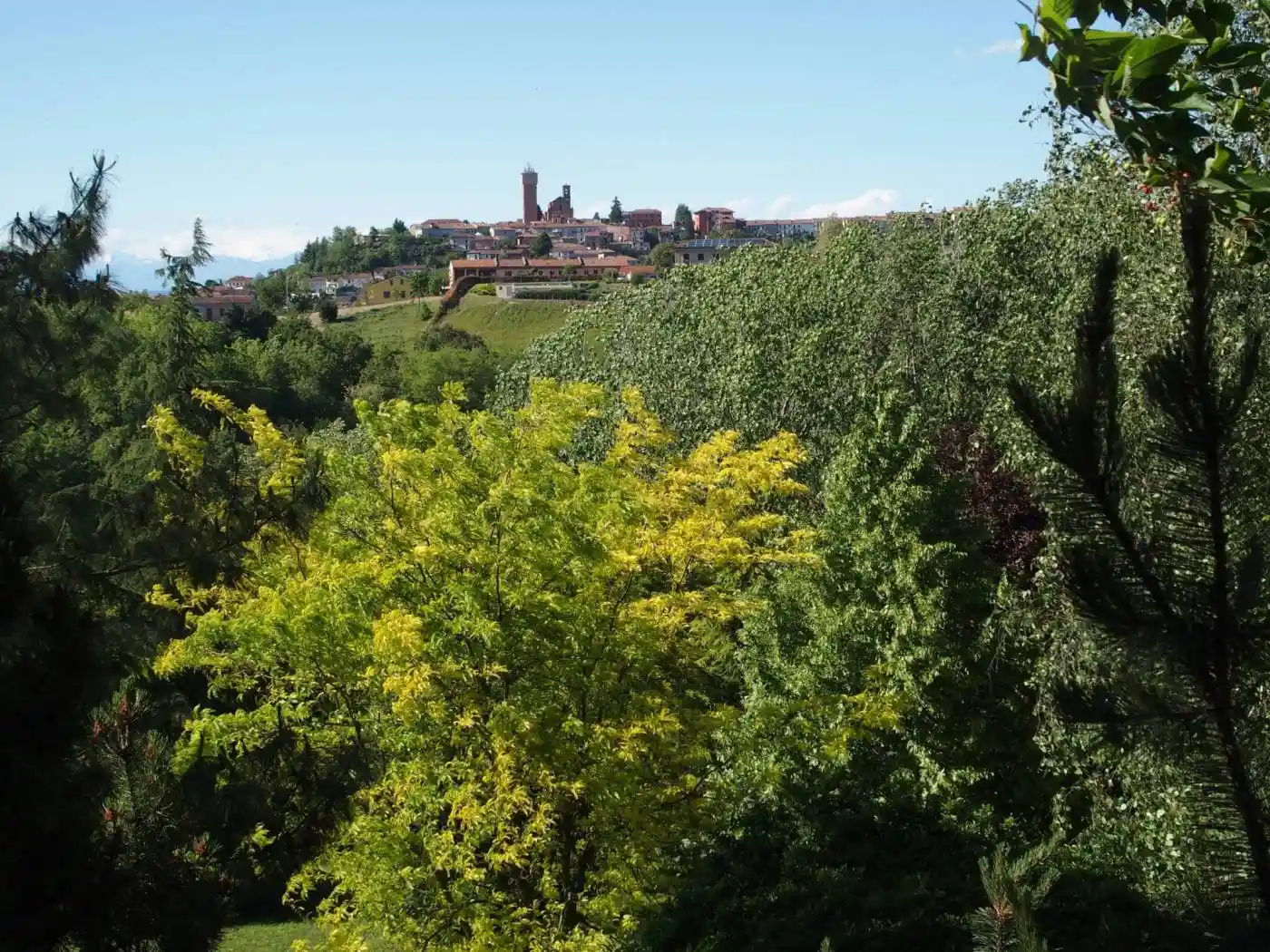 Villa unifamiliare, buono stato, 270 m², Vigliano d'Asti - foto 3