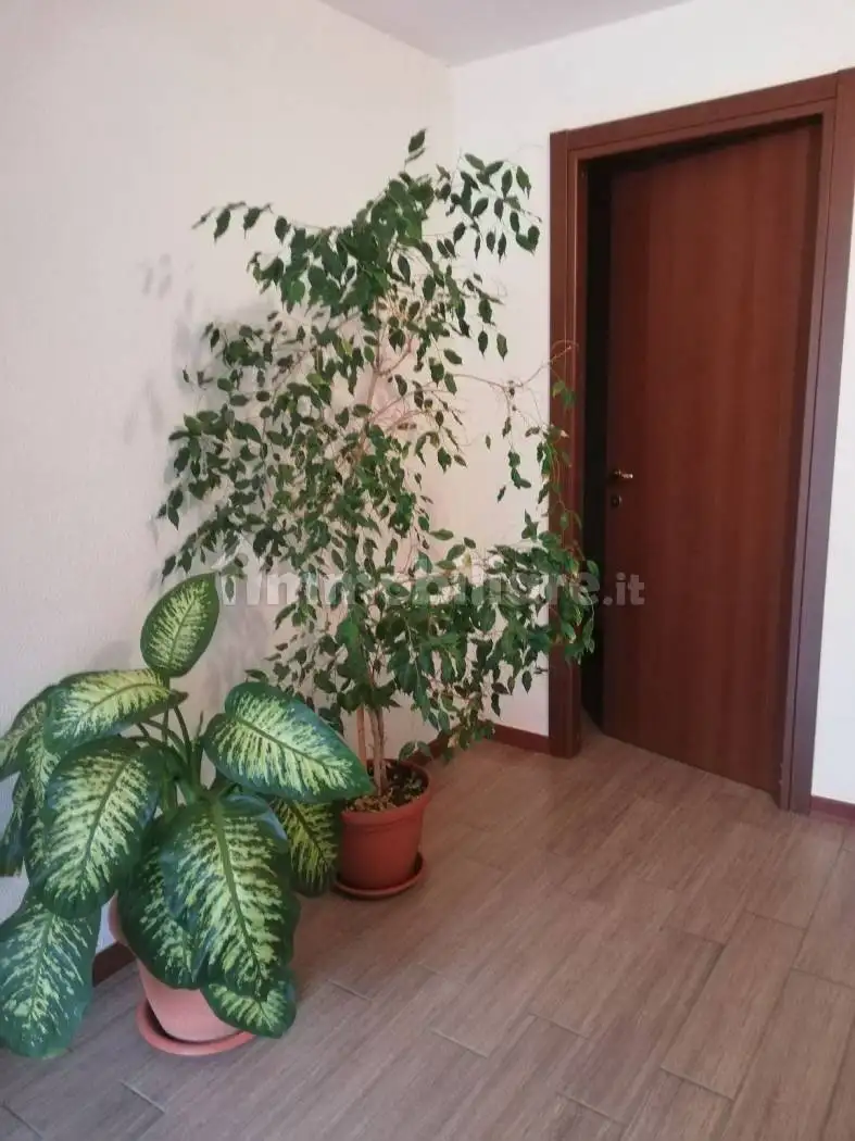 Quadrilocale via Calabria 4, Borore - foto 4