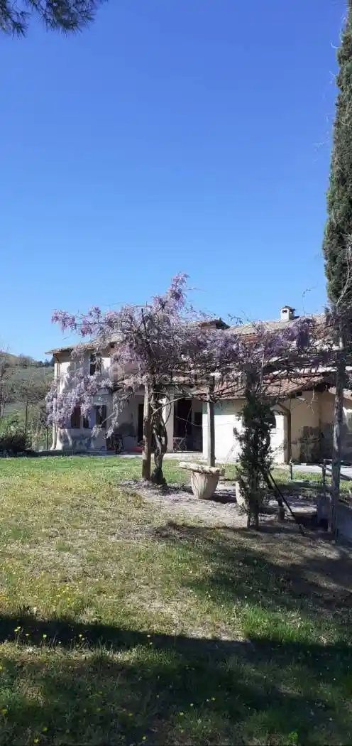Casa colonica via Garampa 7406, Montereale, Cesena - foto 4