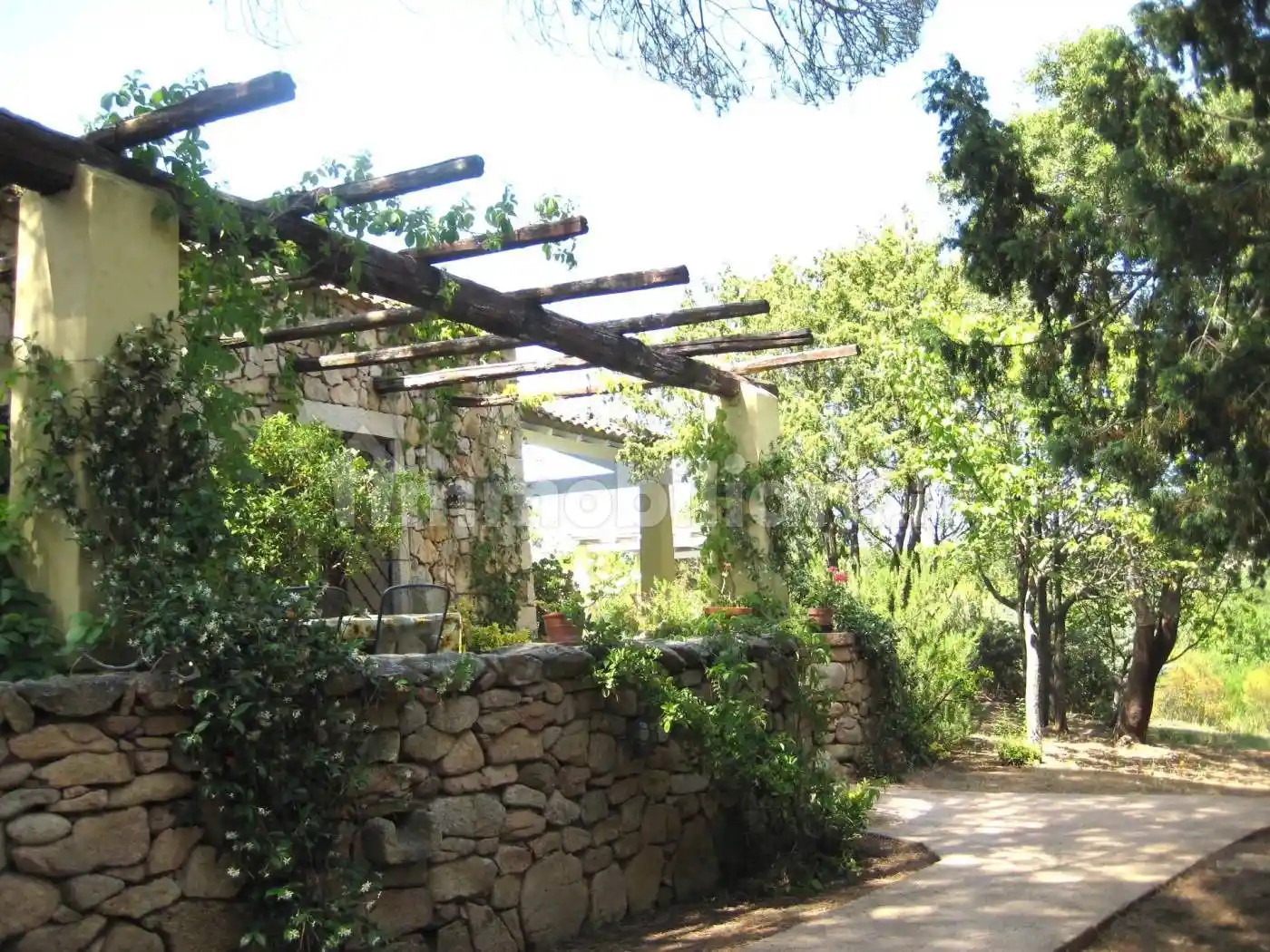 Villa in vendita a Arzachena
