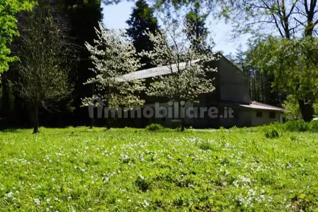 Appartamento da ristrutturare, secondo piano, Serra San Bruno - foto 5