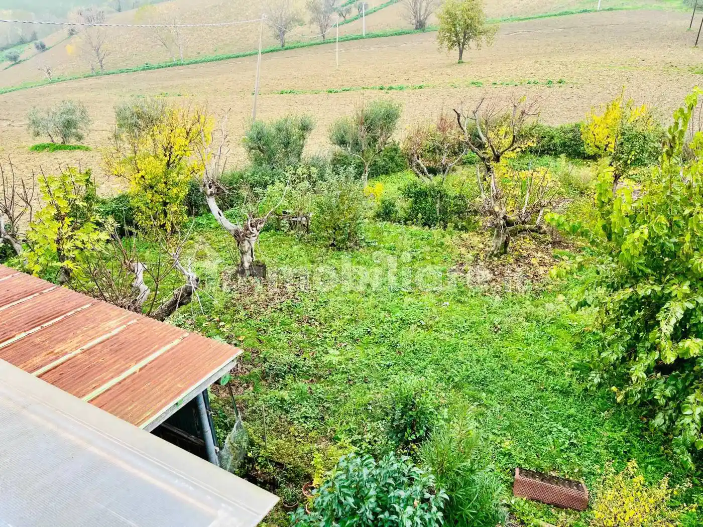 Rustico - Casale in vendita a Belvedere Ostrense