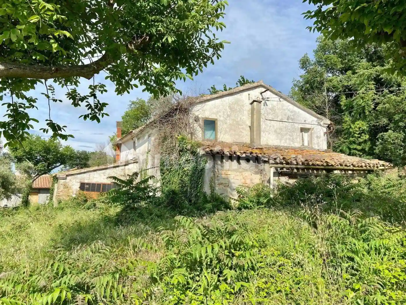 Rustico - Casale - foto 5