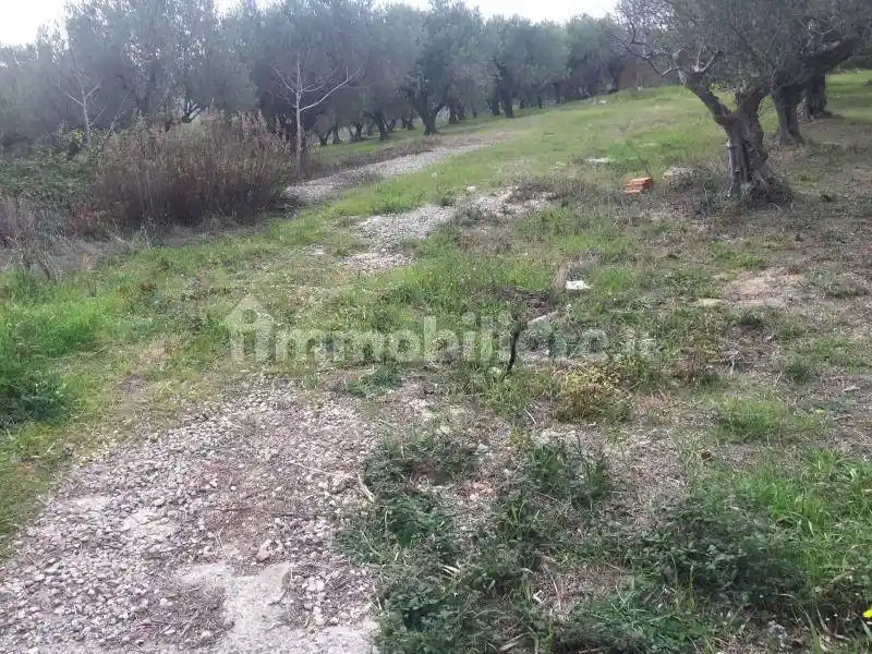 Villa unifamiliare, nuova, 435 m², Centro, Cupello - foto 5