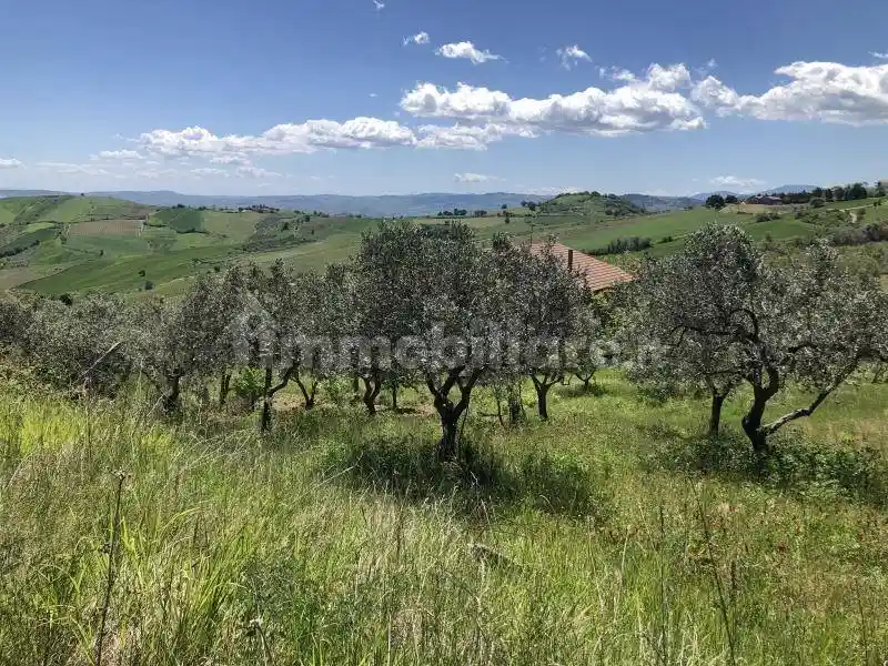 Rustico, nuovo, 200 m², Cupello - foto 5