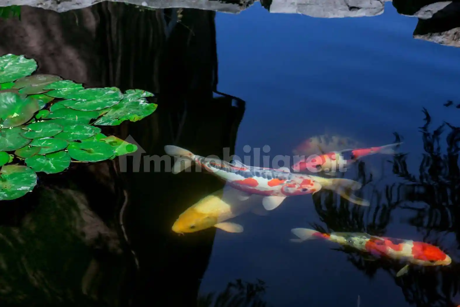 Appartamento via Appia Pignatelli 368, Quarto Miglio, Roma - foto 3